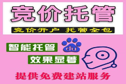 代理开户全流程解析及成功案例展示